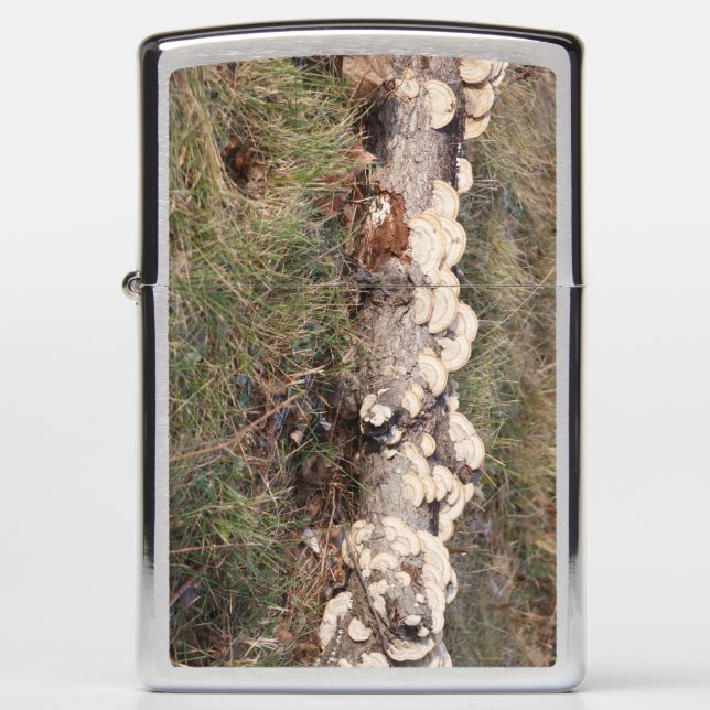 Henen en kippen (Voorkant)