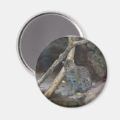 hengelmagneet magneet (Voorkant / Achterkant)