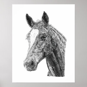 Hengst Mannelijke Paardenkop Witte Flits Equine Ku Poster