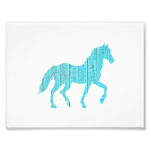 hengst van pony, mosterang silhouette foto afdruk