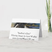 Hengst's Glory Horse Wenskaart Kaart (Achterkant)