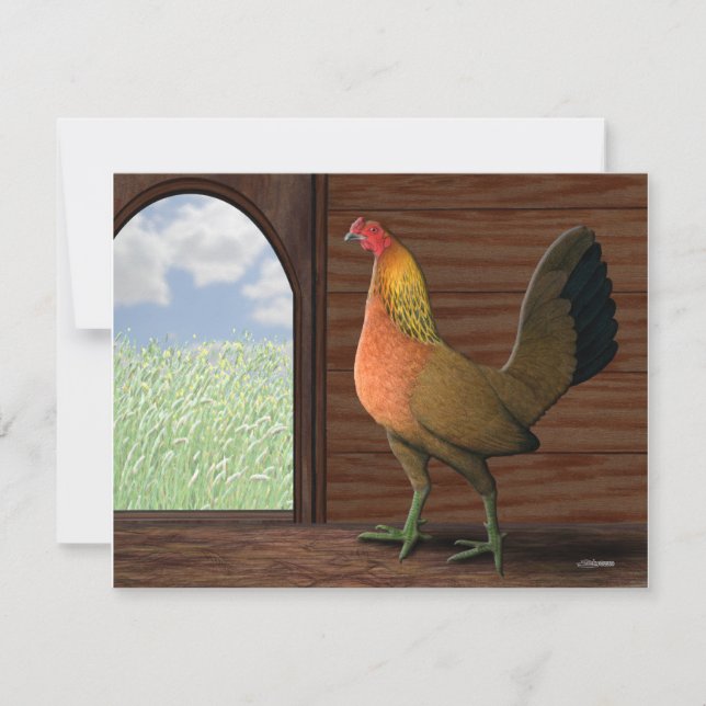 Henhouse Uitzicht (Voorkant)