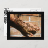 Henna Urban Briefkaart (Voorkant / Achterkant)