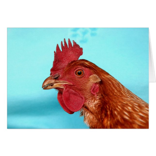 Henny Penny (Voorkant Horizontaal)