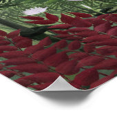 Henri Rousseau - Tropisch bos met apen Poster (Hoek)