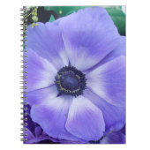 Henrietta Notitieboek (Voorkant)