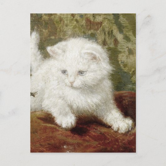Henriette Ronner-Knip Curiousity Briefkaart (Voorkant)