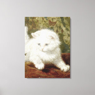  Henriette Ronner-Knip Curiousity Canvas Afdruk
