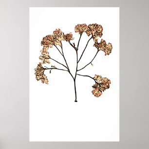 Henry Bradbury's geperste zeewier tiende van tien Poster
