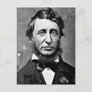 Henry David Thoreau Briefkaart