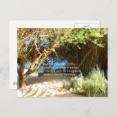 Henry David Thoreau Motivatie Dream Quotation Briefkaart (Voorkant / Achterkant)