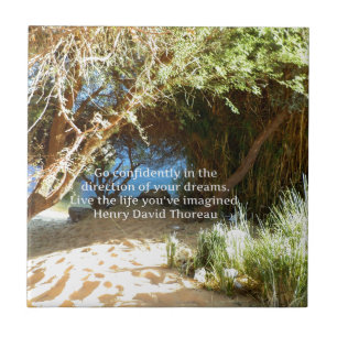 Henry David Thoreau Motivatie Dream Quotation Tegeltje