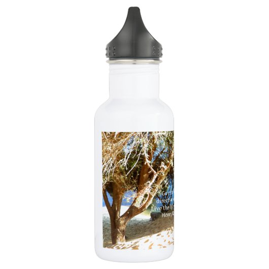 Henry David Thoreau Motivatie Dream Quotation Waterfles (Links)