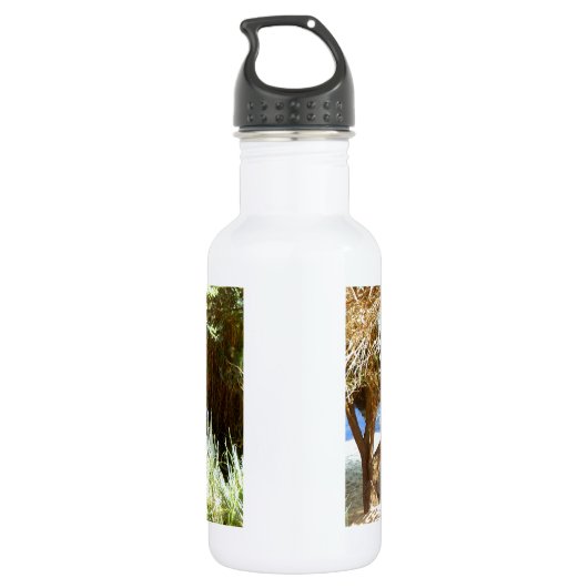 Henry David Thoreau Motivatie Dream Quotation Waterfles (Achterkant)