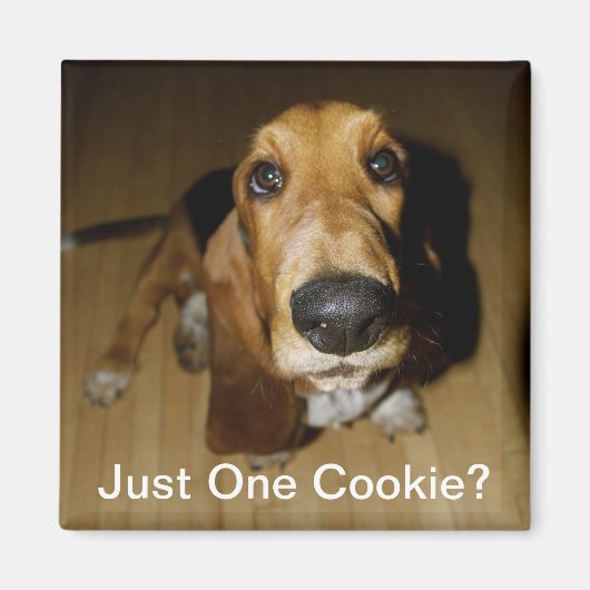 Henry Longfellow Magneet (Voorkant)