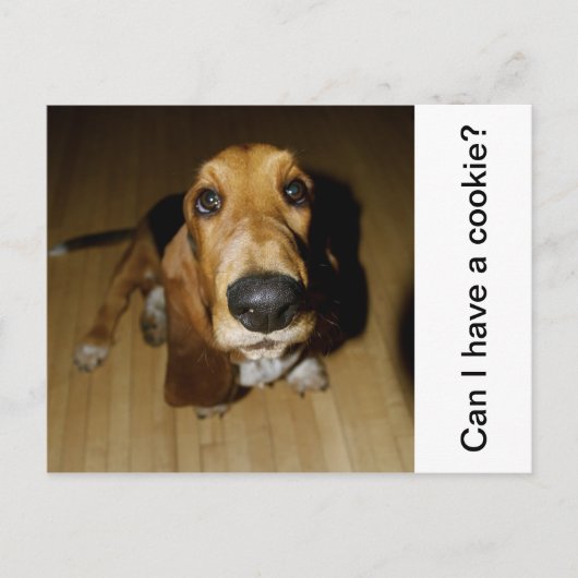 Henry Longmede Briefkaart (Voorkant)