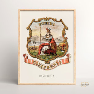 Henry Mitchell staat Californië wapen 1876 Poster