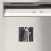 Henry VII Magneet (Insitu (Vaatwasser))