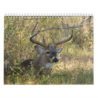 Henry's Wildlife 2008 - Gepersonaliseerd Kalender