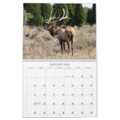 Henry's Wildlife 2008 - Gepersonaliseerd Kalender (Jan 2026)