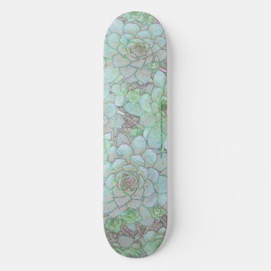 Hens And Chicks Skateboard (Voorkant)