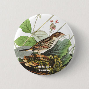 Henslow's Sparrow, Birdwatcher, Audubon Art, Bird Ronde Button 5,7 Cm