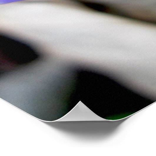 Hepatica Wilde Poster (Hoek)