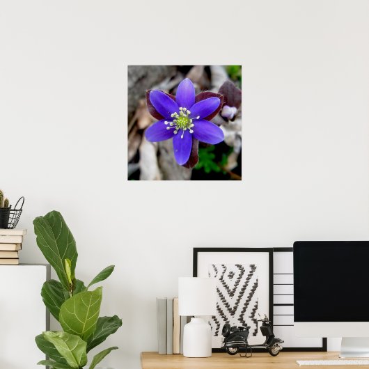 Hepatica Wilde Poster (Thuiskantoor)