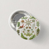 Hepaticae Lebermose door Ernst Haeckel Ronde Button 3,2 Cm (Voorkant /achterkant)