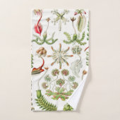 Hepaticé Lebermoose par Ernst Haeckel (Serviette à main)