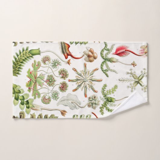 Hepaticé Lebermoose par Ernst Haeckel (Serviette à main)