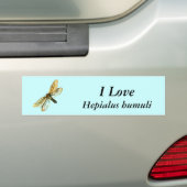 Hepialus humuli vrouw - Ghost Moth of Ghost Swift Bumpersticker (Op auto)