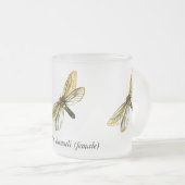 Hepialus humuli vrouw - Ghost Moth of Ghost Swift Matglas Koffiemok (Voorkant rechts)