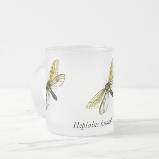 Hepialus humuli vrouw - Ghost Moth of Ghost Swift Matglas Koffiemok (Voorkant links)