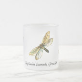 Hepialus humuli vrouw - Ghost Moth of Ghost Swift Matglas Koffiemok (Center)