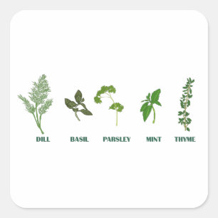 Herb Collectie Vierkante Sticker