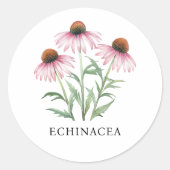 Herb Echinacea Waterverf Ronde Sticker (Voorkant)