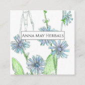 Herb Farm Chicory Plante médicinal Carte de visite (Devant)