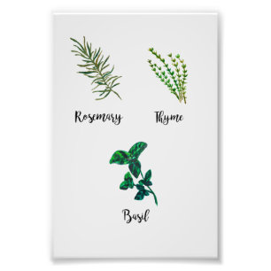 Herb Garden Painting Foto Afdruk