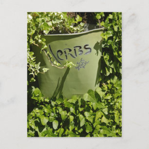 Herb Pot & Ivy Briefkaart