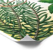 Herb Primer poster afdrukken (Hoek)