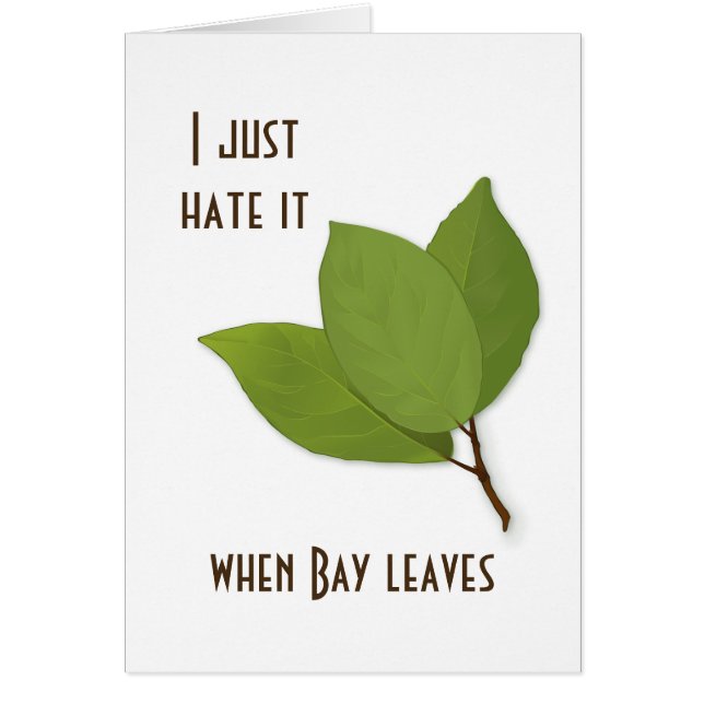 Herb Pun, i Hate It When Bay Leaves (Devant)