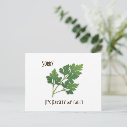 Herb Pun, sorry dat het mijn Briefkaart is. (Staand voorkant)