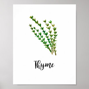Herb Waterverf Tekening Word Art Poster