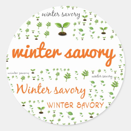 HERB WORD LABEL - WINTER SAVORY (Voorkant)