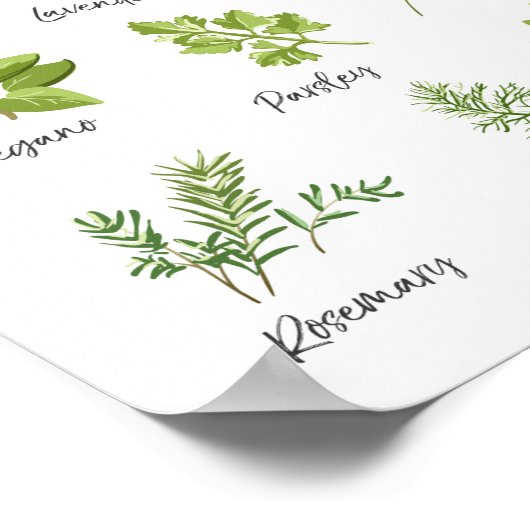 Herbafdruk Herbs kunst Keukenkunst Keukendecor Poster (Hoek)