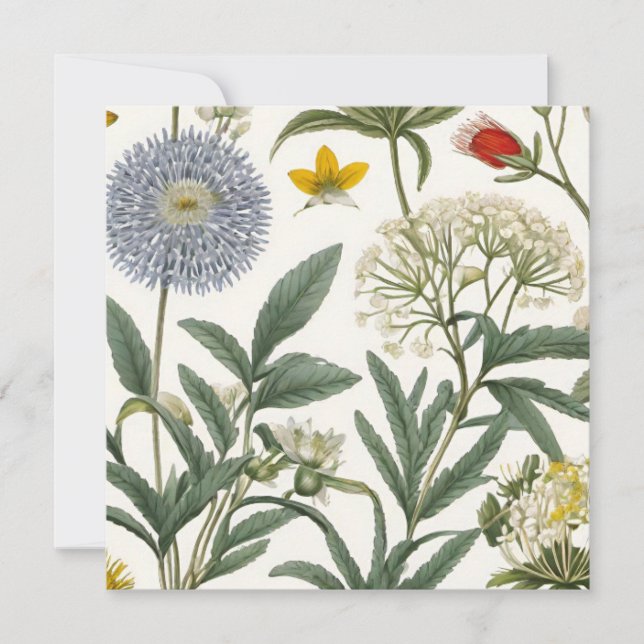 Herbal Harmony (Voorkant)