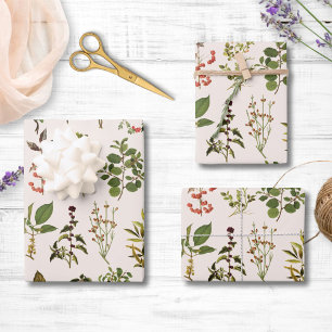 herbarium groen Plant Inpakpapier Vel