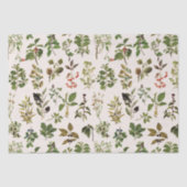 herbarium groen Plant Tissuepapier (Voorkant)