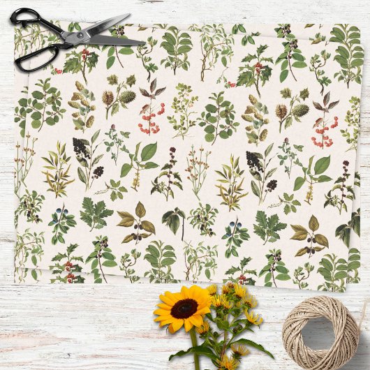  herbarium groen Plant Tissuepapier